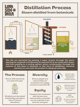 將圖片載入圖庫檢視器 Peruvian Palo Santo Essential Oil (15ml) | 100%純野生秘魯聖木精油
